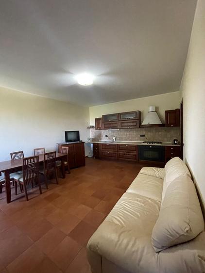 Proprietate deosebită, șos. Cernica (în apropierea mănăstirii Cernica) - 5