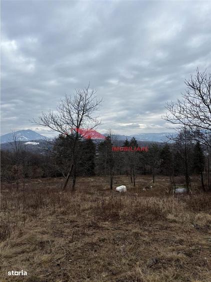 Teren cu 2 izvoare, Prundul Bargaului - 5