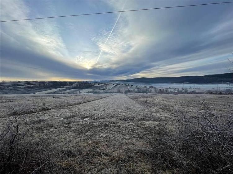 RECO teren Vadu Crisului - 2