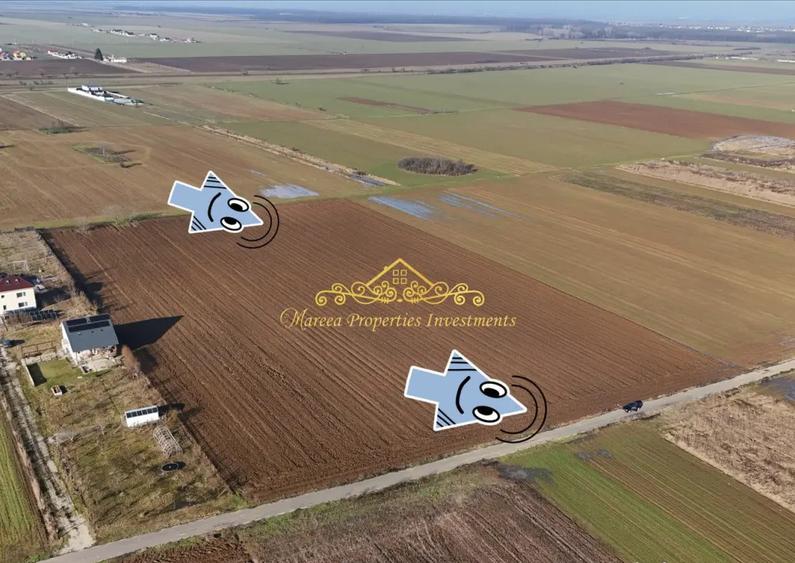 Teren intravilan case 10.000 mp, Str Sportului, Ulmi - 4