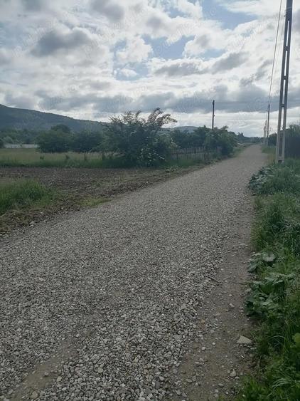 Teren 3000 mp intravilan Viisoara - 1