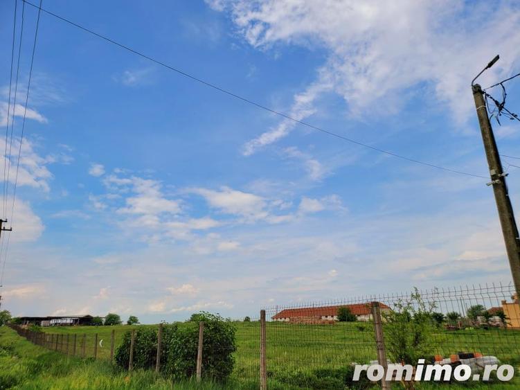 Domeniu, 9,5 ha, 25 KM de Timisoara - 10