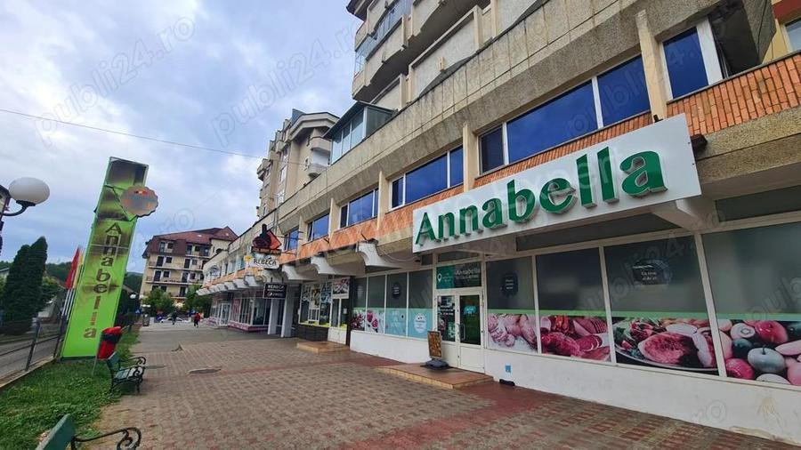 Spa?iu comercial de inchiriat in Curtea de Arge?. - 14