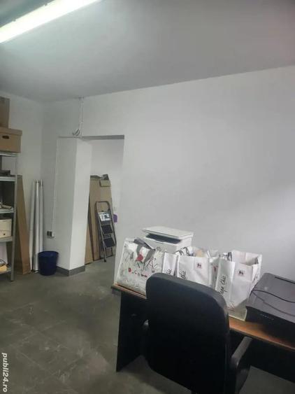 Demisol de vanzare - 4