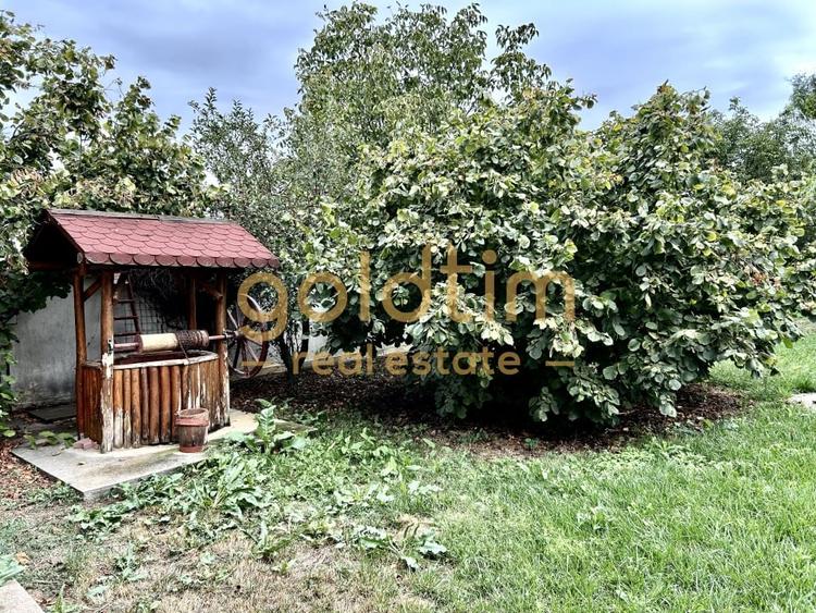 VILA 5 CAMERE CU PISCINA/TEREN 2650MP/CASA PERSONAL/GARAJ/SNAGOV-CIOFLICENI/ - 17