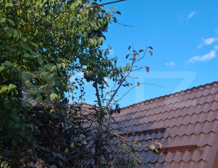 Oportunitate AirBnb!Casa individuala 65mp in GRUIA! - 6