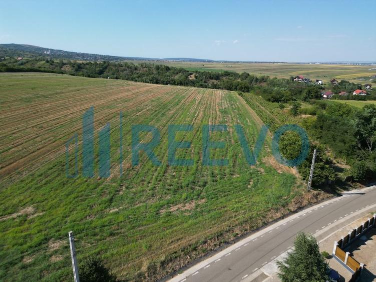 Teren de vânzare, Com. Sarata, Jud. Bacău - 6
