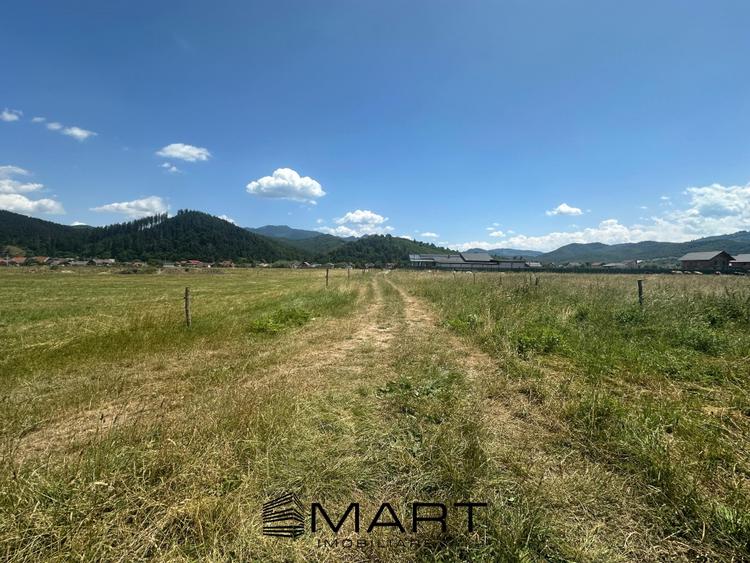 Teren Intravilan Rasnov 7.500 mp - 1