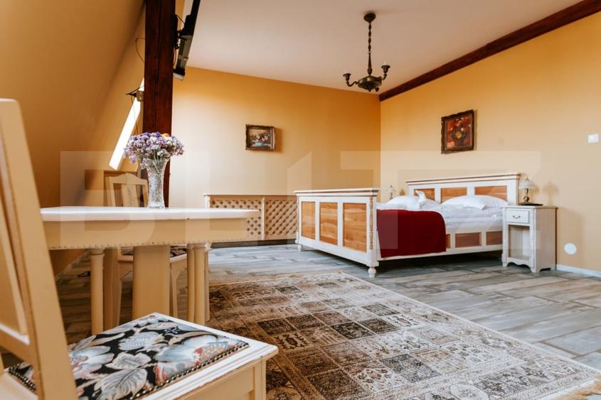 Conac de vanzare 7 camere cu bai proprii, crama, ciubar si potential - 11