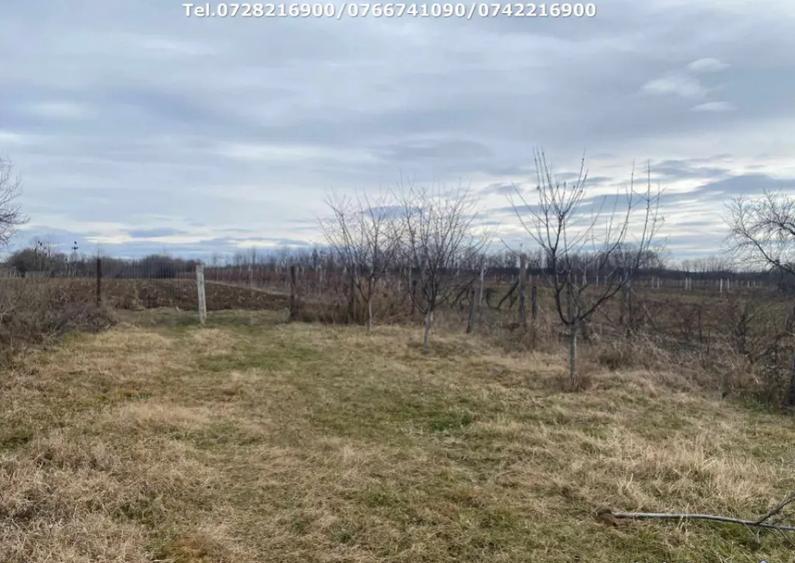 Casa situata in orasul Targu-Carbunesti , Localitatea Flor - 3