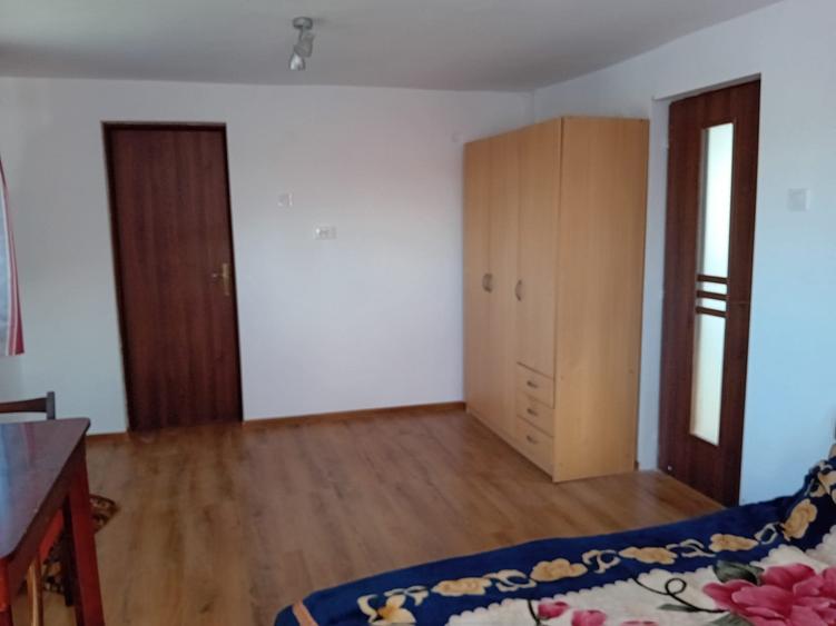 De inchiriat casa de locuit cu 2 camere in Singiogiu de Mures str Salcamilor - 10