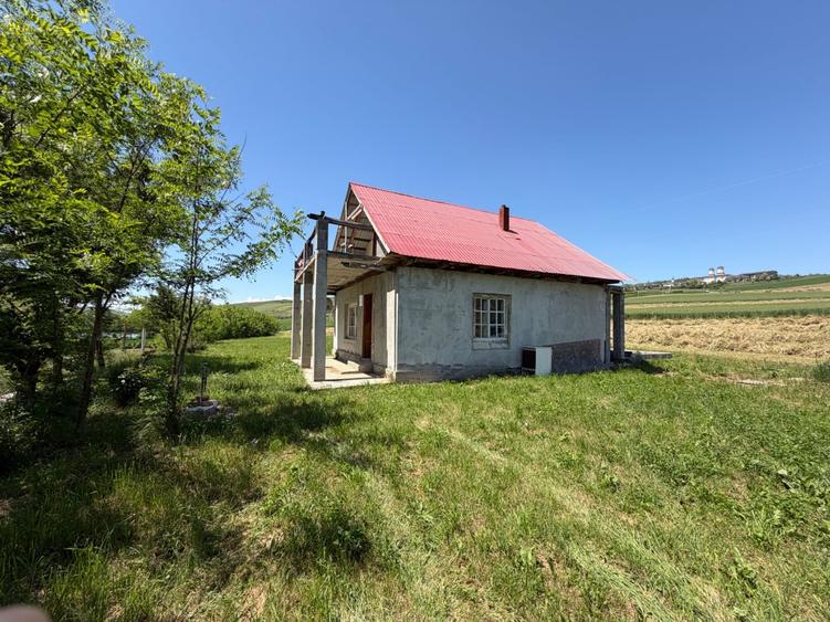 Teren intravilan 1.455 mp cu casa existenta | Posibilitate lotizare | Casa de vacanta | Potential agroturistic - 4