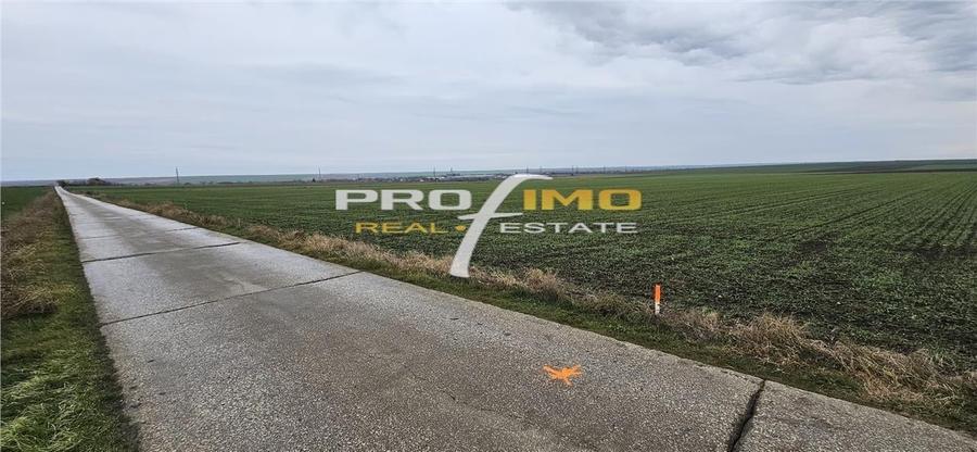 Plaja Corbu-Teren 4200mp. la numai 8 euro /mp. Soseaua asfaltata - 3