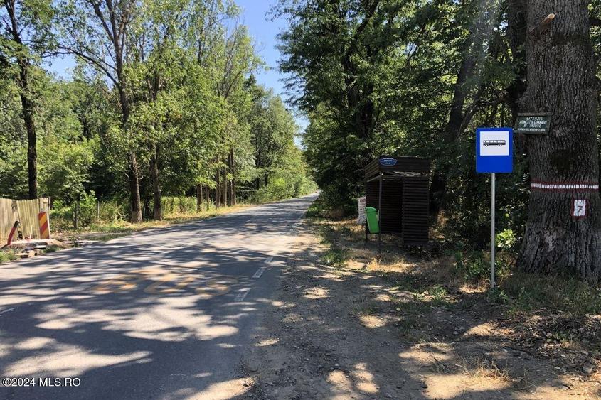 Moara Vlasiei - langa Padurea Biglaru, 11.884 mp, deschidere 40 ml! - 7