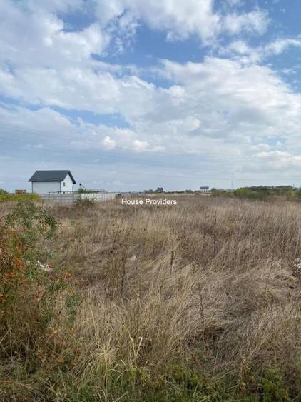 Vanzare teren extravilan 4111 mp, Strada Alexandru Lăpușneanu, Berceni - 3