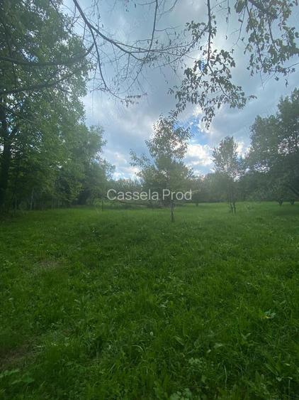 Vand teren Breaza 3325 mp