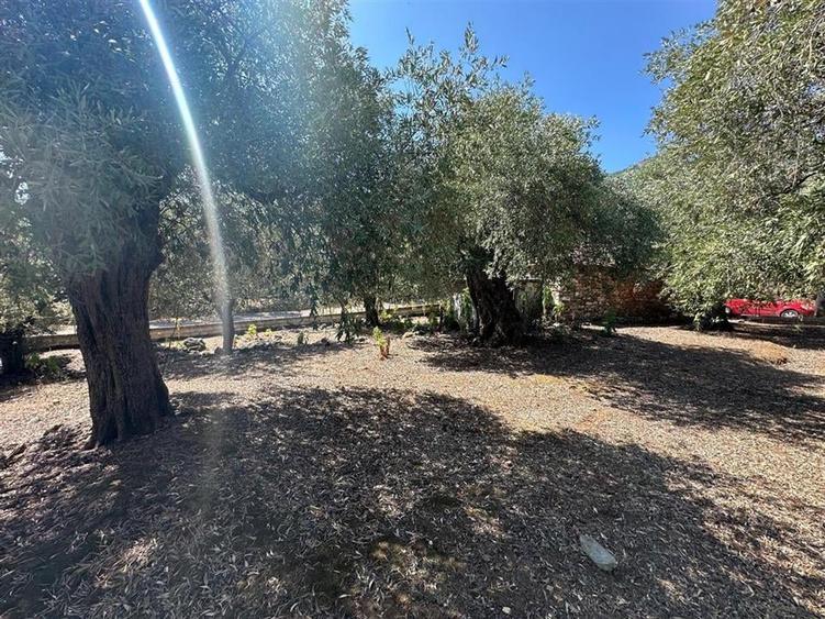 Teren intravilan pe insula Thassos, aproape de plaja salbatica - 10