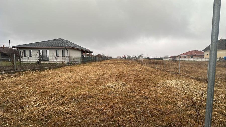 Teren intravilan Balta Blonda - 2