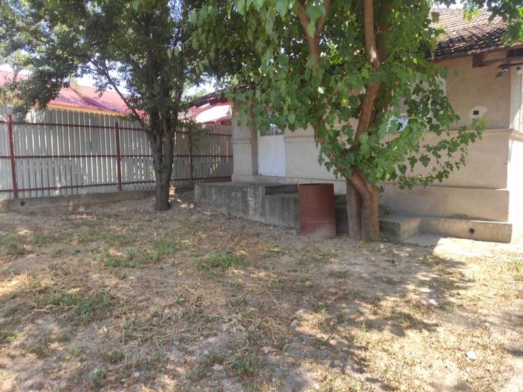 Casa + teren 3600m2 de vanzare in Plataresti, jud. Calarasi - 5