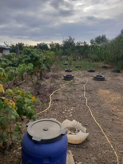 Casa de vanzare Pischia - 2