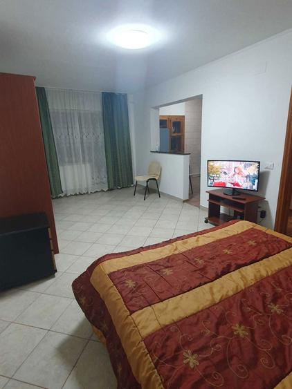 Vand Garsoniera in zona Bd Brailei (sau inchiriere) - 5