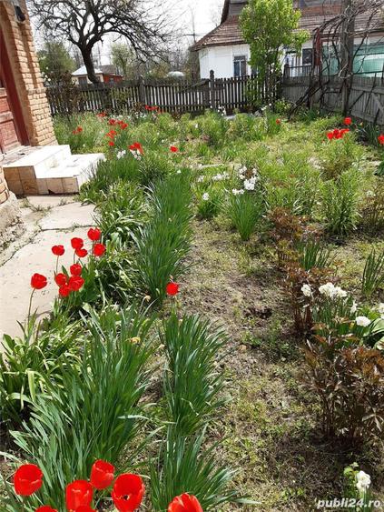 Vand casa batraneasca din caramida cu teren 3120 de mp, 31500 de euro negociabil - 8