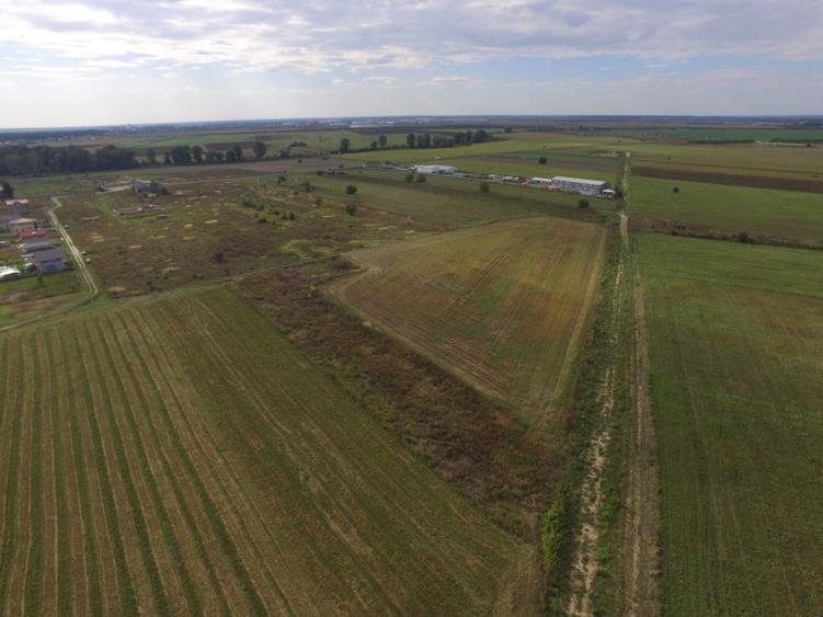 Vand 5000 mp intravilan la 800 m de intersectia AUTOSTRAZILOR A0 si A1 - 6