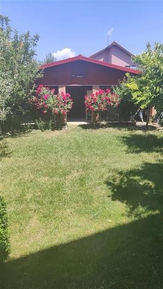 Vila Noua Mosnita Noua - 15