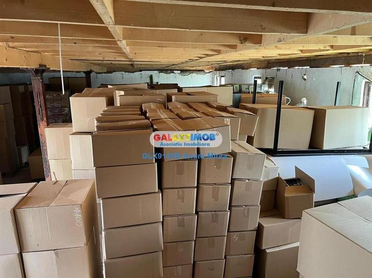 Inchiriere hala industriala Moara Vlasiei 2 IMOBILE - 5