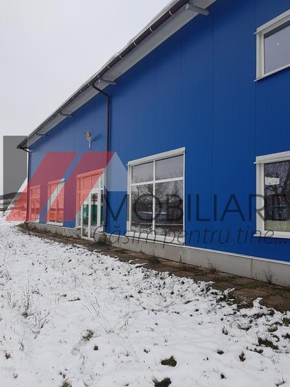 Caransebes Sp com Su-300 mp S teren 3000-15.000 mp FS-40ml - 5