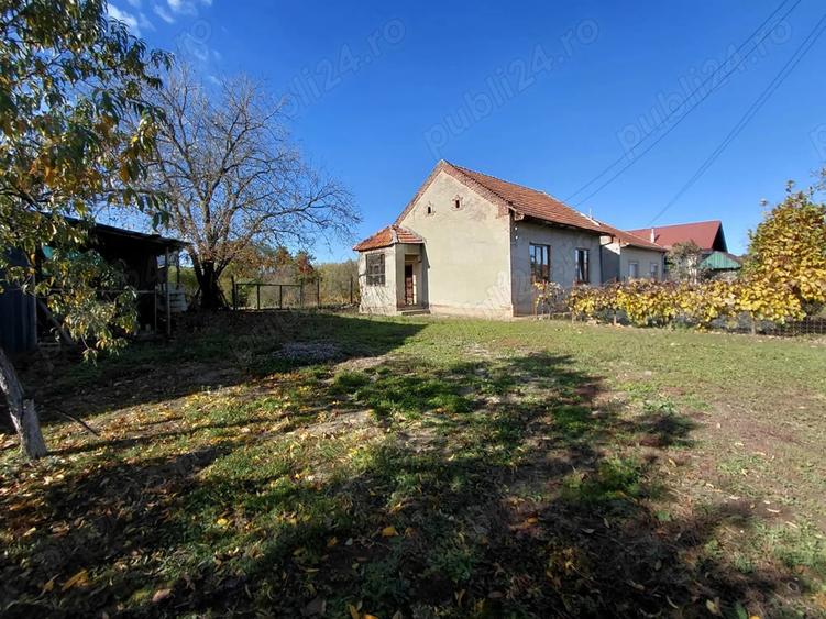 Casa de vanzare + gradina in sat Zagujeni - 6