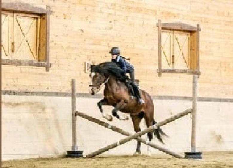 Apartamente de Vacanta - Rasnov Brasov - 18