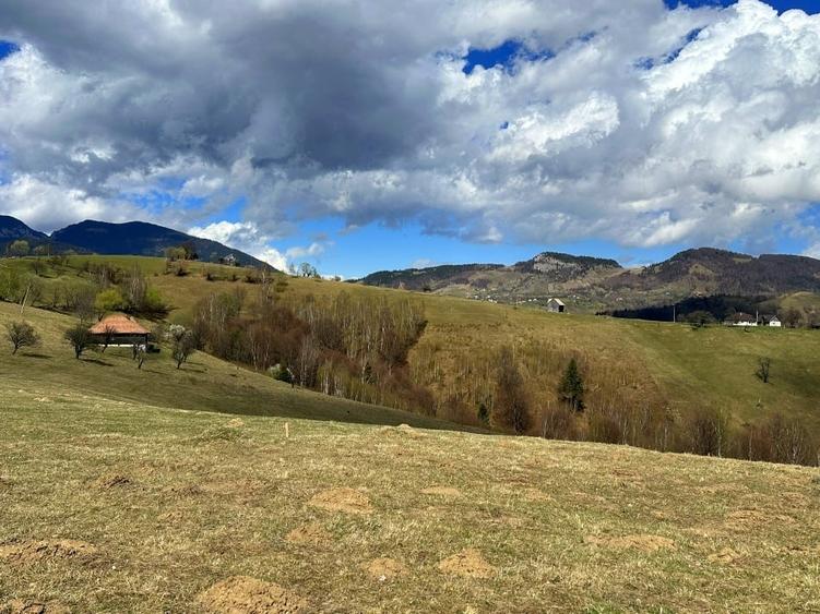 Teren 1550 mp, sat Pestera, zona Bran-Moieciu, jud. Brasov - 2