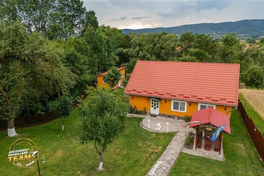 FILM&3D! Doua case cu:piscina,foisor,arbori decorativi,1.700mp teren,Lutoasa,Cov - 54