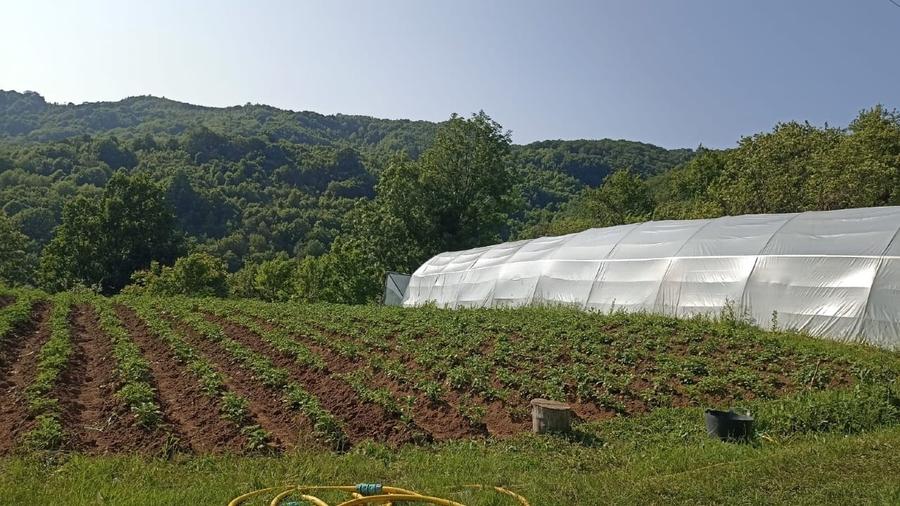 Vand casa de lemn la munte - 14