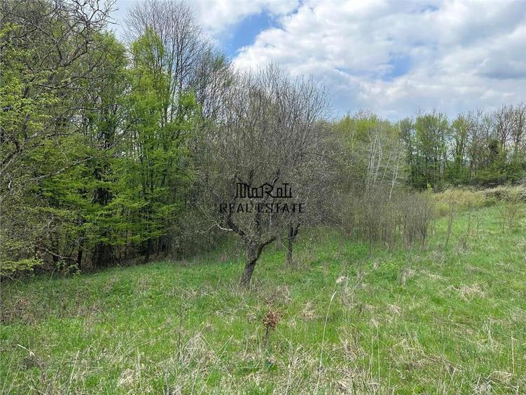 Terenuri extravilane in Luncoiu de Sus, Hunedoara - 8