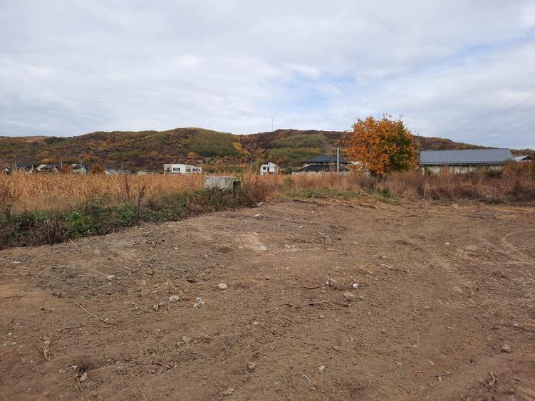 Teren intravilan, sat Viforata - 1