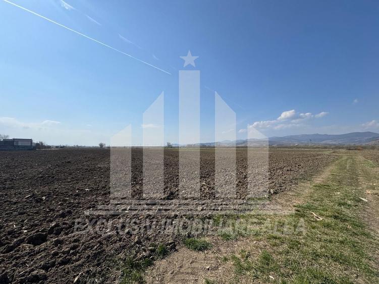 Teren intravilan | 1600 mp | 16 ml deschidere | Oarda de Jos - 2