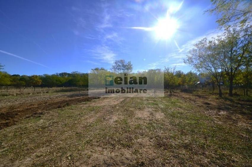 Snagov Ciofliceni Mânastire- Teren 1432 Mp, D 60 M, Curent Gaze Asfalt - 2