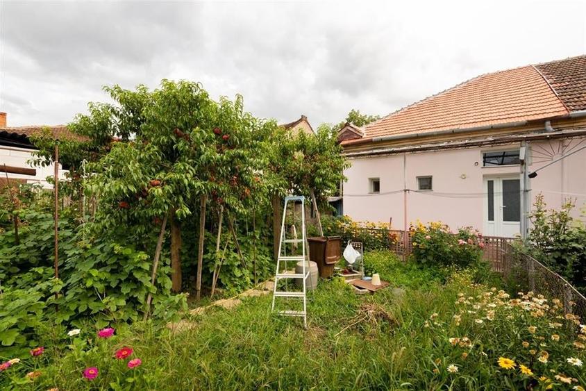 RECO Casa de vanzare zona Horia - 17