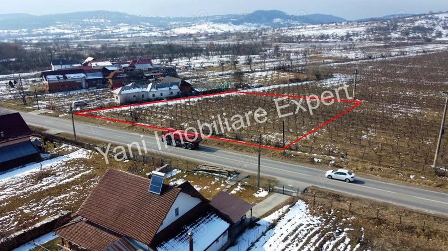 Teren de vanzare in comuna Mu?ate?ti, jude? Arge?. - 6