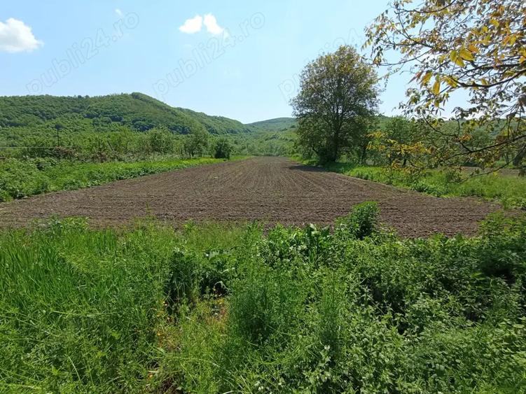 Casa de vanzare Sinpetru Alma?ului, Hida cu teren 6000 mp - 4