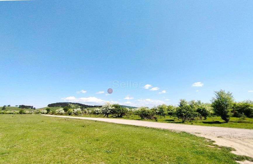 Teren Intravilan - 8