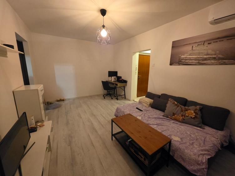 Piata Muncii, 15 minute metrou, Campia Libertatii, chiar pe Petrascu - 10