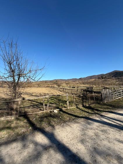 OCAZIE UNICA / SINCA NOUA / Teren extravilan pe drumul spre Manastire! - 4