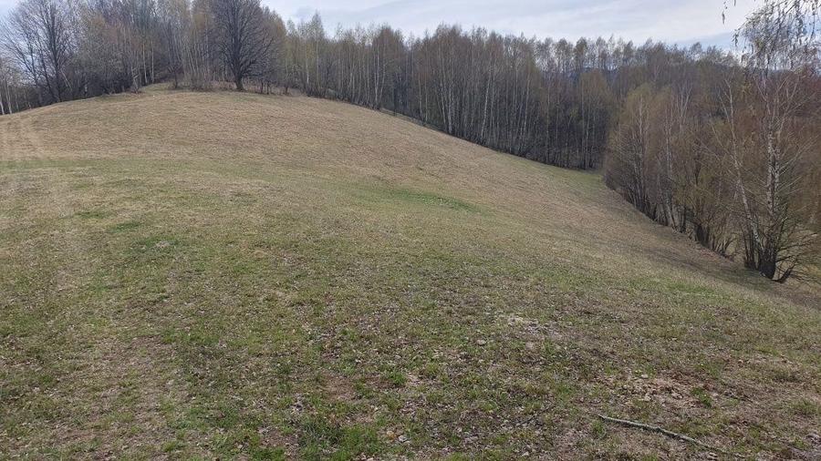 Vand teren, 70 de ari - 1