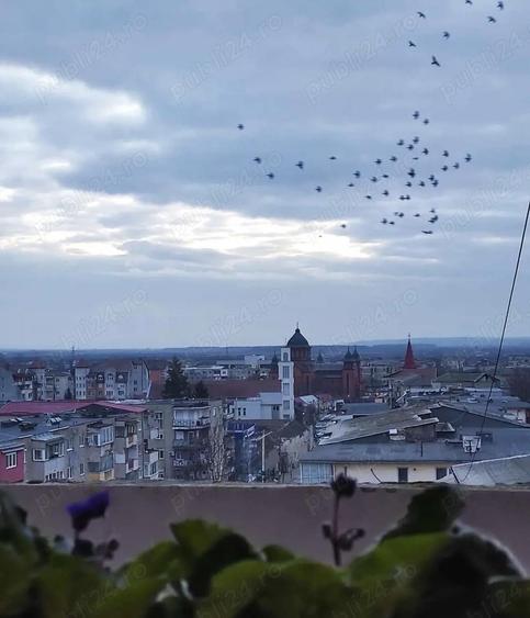 Vand apartament cu 2 camere decomandate in Marghita - 3