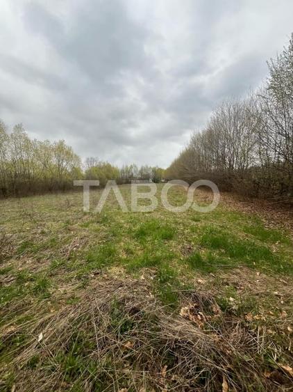 Teren intravilan de vanzare 550m front 21 m utilitati la 120m Cisnadie - 3