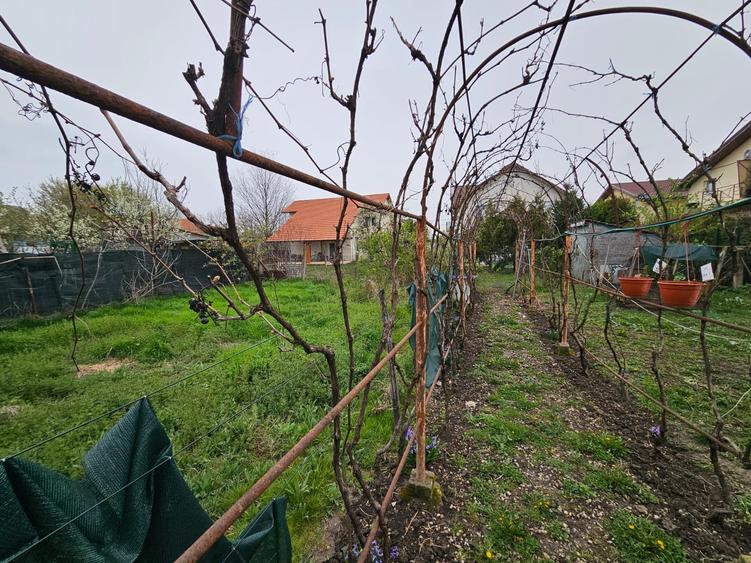 Ap în casă cu 2 ap, curte comună și grădină, C Bogdăneștilor, comision 0% - 27