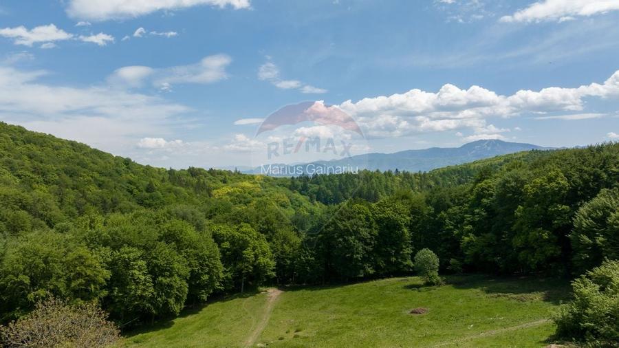 Teren de vanzare - Colonia 1 Mai, 5.310 mp, ideal pentru investitie